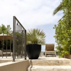 Jesslyn Natural Planter - Black 14 Jesslyn Natural Planter - Black -Greencore Store Jesslyn Natural Planter Black 1