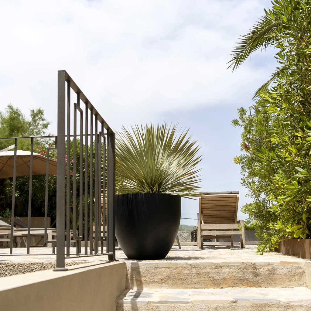 Jesslyn Natural Planter - Black 5 Jesslyn Natural Planter - Black - Image 3