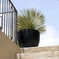 Jesslyn Natural Planter - Black 19 Jesslyn Natural Planter - Black -Greencore Store Jesslyn Natural Planter Black 2