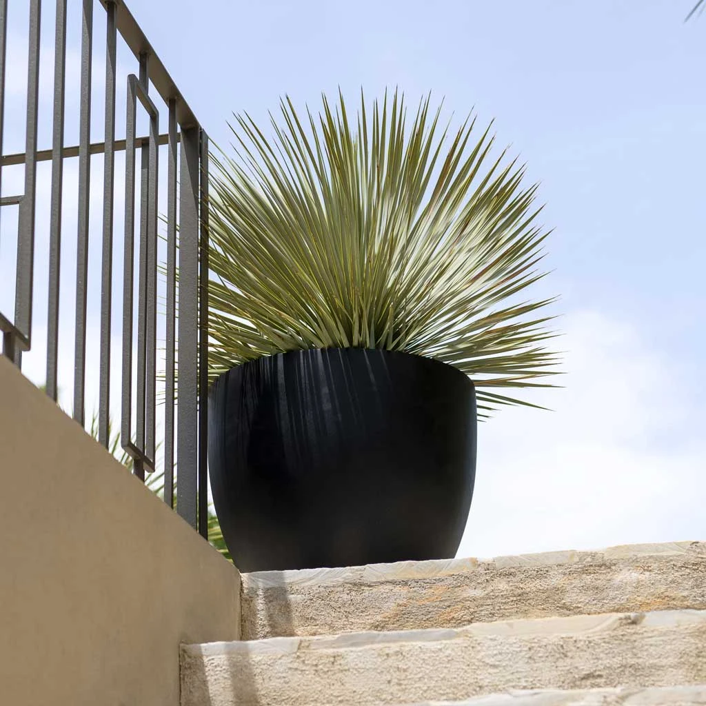 Jesslyn Natural Planter - Black 10 Jesslyn Natural Planter - Black - Image 8