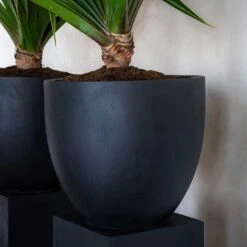 Greencore Store -Greencore Store Jesslyn Natural Planter Black Indoor Plants 7f17a889 f5f9 4470 9ff7 0b5085f2fb01