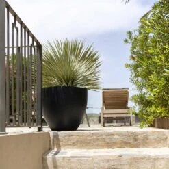 Jesslyn Natural Planter - Black 15 Jesslyn Natural Planter - Black -Greencore Store Jesslyn Natural Planter Black Large Patio Planter da61951c e7e8 4898 be23 5e29fba17043