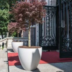 Jesslyn Refined Planter - Natural White 22 Jesslyn Refined Planter - Natural White -Greencore Store Jesslyn Refined Planter Natural White Entrance Planter