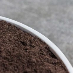 Jesslyn Refined Planter - Natural White 19 Jesslyn Refined Planter - Natural White -Greencore Store Jesslyn Refined Planter Natural White Rim