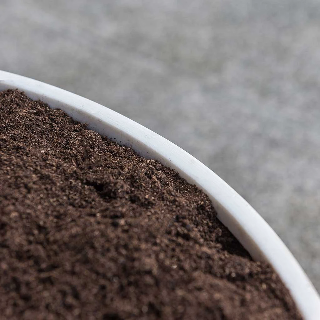 Jesslyn Refined Planter - Natural White 9 Jesslyn Refined Planter - Natural White - Image 7