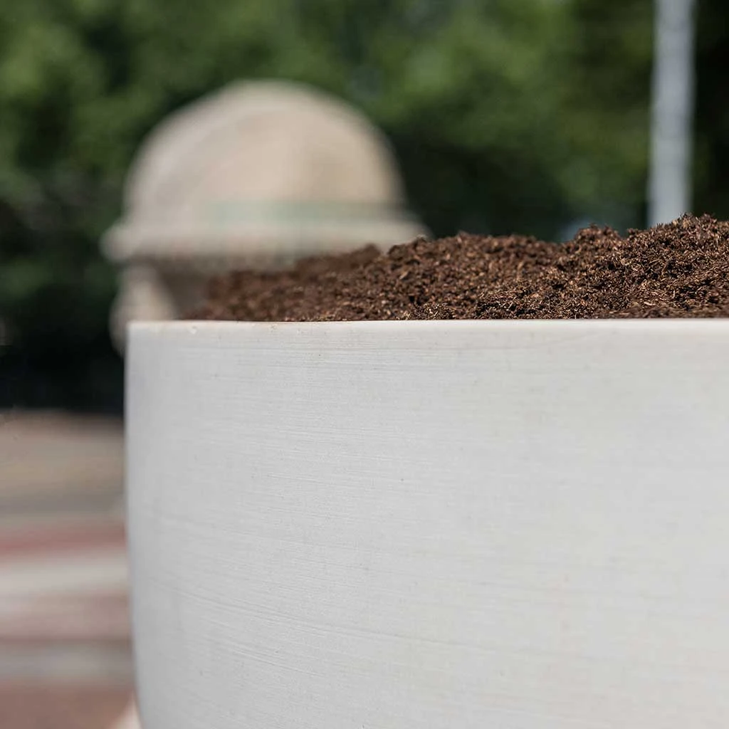 Jesslyn Refined Planter - Natural White 11 Jesslyn Refined Planter - Natural White - Image 9