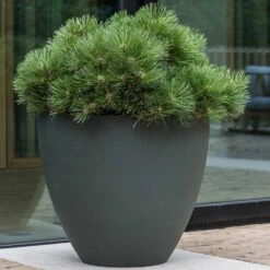 Jesslyn Refined Planter - Pine Green -Greencore Store Jesslyn Refined Planter Pine Green Outdoor Plant Display