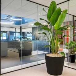 Jumbo Bucket Natural Planter - Black -Greencore Store Jumbo Bucket Natural Planter Black 98x85cm Lifestyle 2