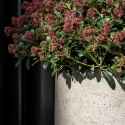 Jumbo Charlie Planter - Stone Washed -Greencore Store Jumbo Charlie Planter Stone Washed Close Up