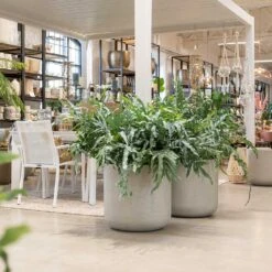 Jumbo Charlie Planter - Stone Washed -Greencore Store Jumbo Charlie Planter Stone Washed Indoors