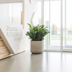 Jumbo Charlie Planter - Stone Washed -Greencore Store Jumbo Charlie Planter Stone Washed Office Reception Planter