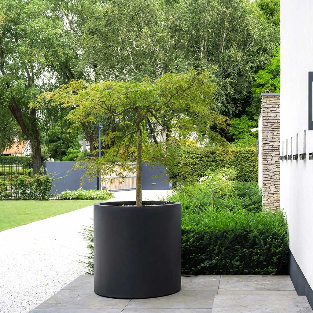 Jumbo Max Natural Planter - Black 4 Jumbo Max Natural Planter - Black - Image 2