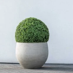 Jumbo Orb Planter - Stone Washed -Greencore Store Jumbo Orb Planter Stone Washed Topiary Box Hedge