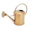 Kensington Indoor Traditional Watering Can 2L - Copper -Greencore Store Kensington Indoor Traditional Watering Can 2L Copper 2