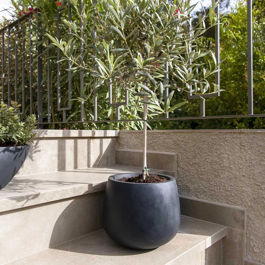 Kevan Natural Planter - Black 4 Kevan Natural Planter - Black - Image 2