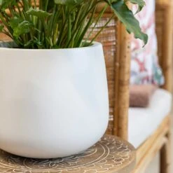 Kevan Essentials Plant Pot - Matt White -Greencore Store Kevan Plant Pot Matt White Philodendron Plant