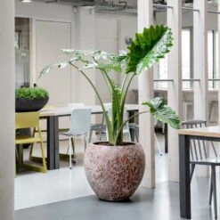 Lava Balloon Relic Planter - Pink -Greencore Store Lava Balloon Relic Planter Pink 3