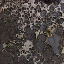 Lava Balloon Relic Planter - Black -Greencore Store Lava Couple Straight Relic Planter Black 2 a4a94e3a 86a4 4f76 9d1c 74e7adeb397d