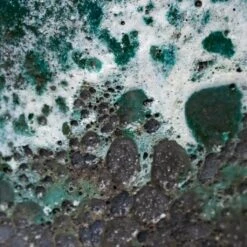 Lava Cube Relic Planter - Jade -Greencore Store Lava Couple Straight Relic Planter Jade 19x13cm Colour Swatch 1 6fc30a91 83ed 41d0 b59f 278727c76845