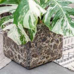 Lava Cube Relic Planter - Black -Greencore Store Lava Cube Relic Planter Black 1