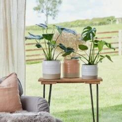 Puro Ripple Plant Pot - White 14 Puro Ripple Plant Pot - White -Greencore Store Lifestyle Puro Ripple Plant Pot 21x19cm 78129612 f541 46ee b1c8 f828cfeb6eb8