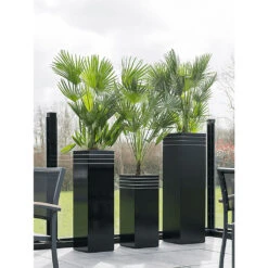 Line-Up Tall Square Planter - Matt Black -Greencore Store Line Up Tall Square Planter Matt Black Lifestyle