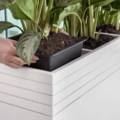 Line-Up Cube Planter - Matt White 10 Line-Up Cube Planter - Matt White -Greencore Store Line Up Tall Square Planter Matt White Lifestyle d7ee9310 8be7 4c44 81be 86c068dc217b