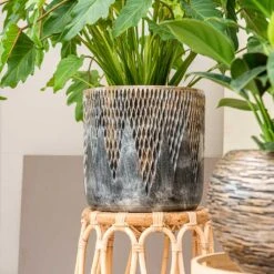 Luxe Lite Comet Cylinder Planter - Bronze -Greencore Store Luxe Lite Comet Cylinder Planter Bronze Small Houseplant