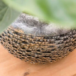 Luxe Lite Layer Globe Planter - Bronze 20 Luxe Lite Layer Globe Planter - Bronze -Greencore Store Luxe Lite Layer Globe Planter 1