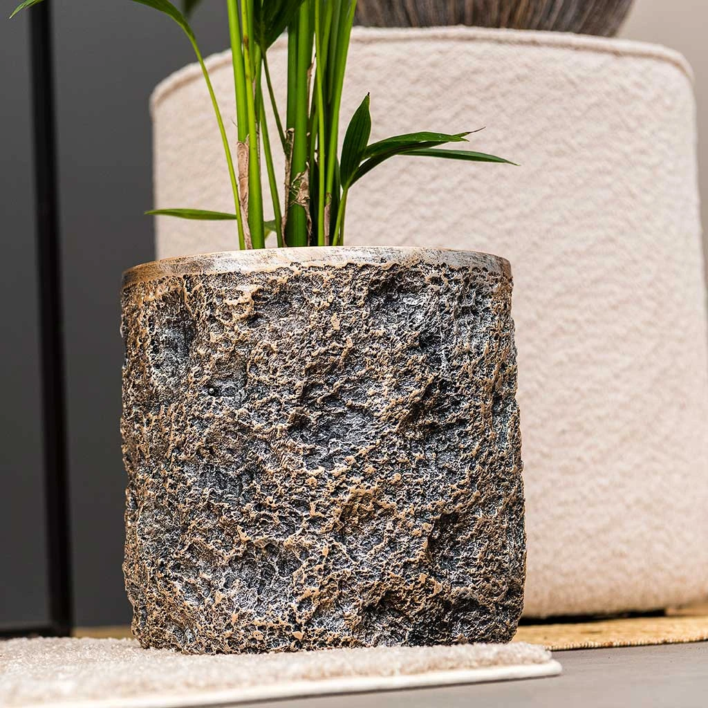 Luxe Lite Moon Cylinder Planter - Bronze 7 Luxe Lite Moon Cylinder Planter - Bronze - Image 5