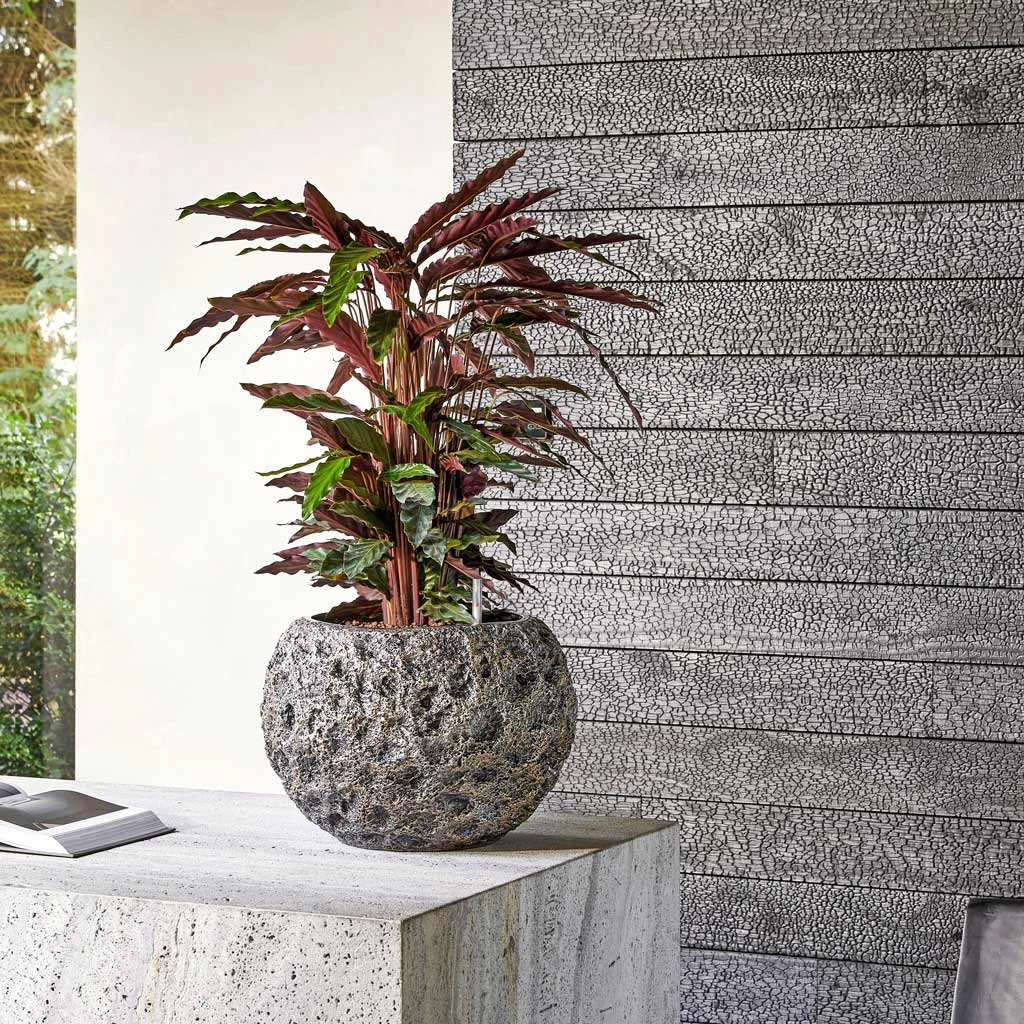 Luxe Lite Moon Globe Planter - Bronze 8 Luxe Lite Moon Globe Planter - Bronze - Image 6