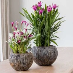 Luxe Lite Waterfall Globe Planter - Bronze -Greencore Store Luxe Lite Universe Waterfall Globe Bronze Planters Small Houseplants