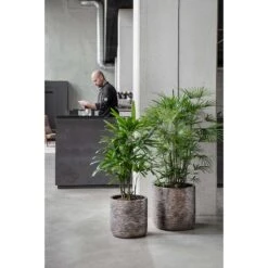 Luxe Lite Wrinkle Cylinder Planter - Bronze -Greencore Store Luxe Lite Wrinkle Cylinder Planter Bronze Lifestyle