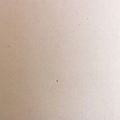 Dorant Refined Oval Plant Bowl - Natural White -Greencore Store Max Refined Planter Natural White 1 ec21d6ad 0b8d 4c49 b62e 32764b890b8a