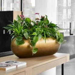 Metallic Boat Planter - Matt Honey 9 Metallic Boat Planter - Matt Honey -Greencore Store Metallic Boat Planter Matt Honey 1