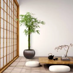 Metallic Globe Plant Pot - Matt Coffee -Greencore Store Metallic Couple Plant Pot Matt Coffee LS1