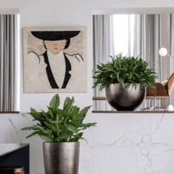 Metallic Plant Bowl - Matt Coffee -Greencore Store MetallicPlantBowl MattCoffee 45x27cmPlantPotSizeCheck HortologyMetallicPlantBowl MattCoffee 1