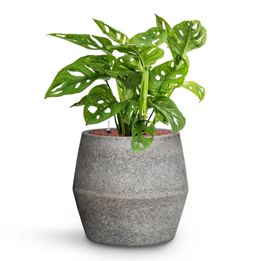 Harley Cement & Stone Plant Pot - Granite Grey 6 Harley Cement & Stone Plant Pot - Granite Grey - Image 4