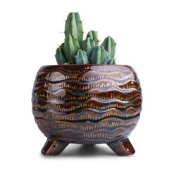 Dewi Plant Pot - Marrakesh 21 Dewi Plant Pot - Marrakesh -Greencore Store Myrtillocactus geometrizans Blue Myrtle Cactus 12x20cm Dewi Plant Pot Marrakesh 21x16cm f8212ba7 6c51 45ed b0d0 63c9b238e20f
