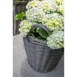 Nanna Wikr Plant Basket - Dark Brown 13 Nanna Wikr Plant Basket - Dark Brown -Greencore Store Nanna Wicker Plant Basket Dark Brown Outdoor Plants