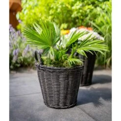 Nanna Wikr Plant Basket - Dark Brown 14 Nanna Wikr Plant Basket - Dark Brown -Greencore Store Nanna Wicker Plant Basket Dark Brown Palm Tree