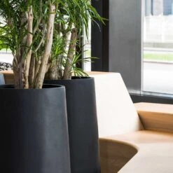 Nax Natural Tall Planter - Black -Greencore Store Nax Natural Planter Black Office Planters Close Up
