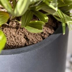 Nax Natural Tall Planter - Black -Greencore Store Nax Natural Tall Planter Black 2