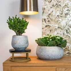 Noor Plant Bowl - Metallic Grey -Greencore Store Noor metalic grey 01