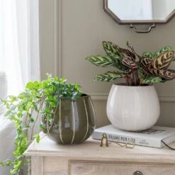 Nova Plant Pot - Green -Greencore Store Nova Plant Pot Cream 23 x 18cm 11781764 6d1a 4491 88d6 b6d75afe7217