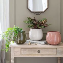 Nova Plant Pot - Cream -Greencore Store Nova Plant Pot Rose 23 x 18cm 2