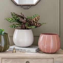 Nova Plant Pot - Rose -Greencore Store Nova Plant Pot Rose 23 x 18cm 6f69093b d56e 46c7 94b7 24c715c1effc