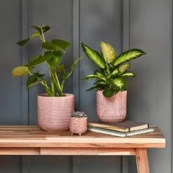 Ocean Glaze Plant Pot - Morganite -Greencore Store Ocean Glaze Plant Pot Morganite 13 x 13cm