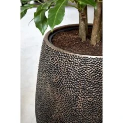 Opus Hit Darcy Planter - Gold -Greencore Store Opus Hit Darcy Planter Gold Close Up