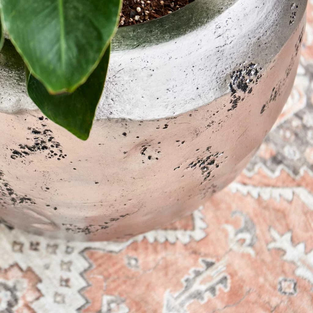 Opus Raw Couple Planter - Silver 5 Opus Raw Couple Planter - Silver - Image 4